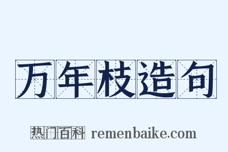 万年枝造句是什么意思的图片
